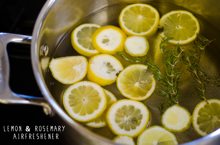 So…Let's Hang Out – Lemon and Rosemary Air Freshener