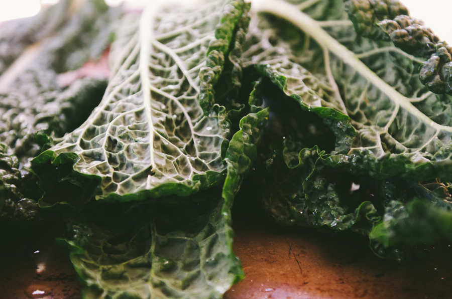 Kale Salad With Apricots & Pecorino | So...Let's Hang Out