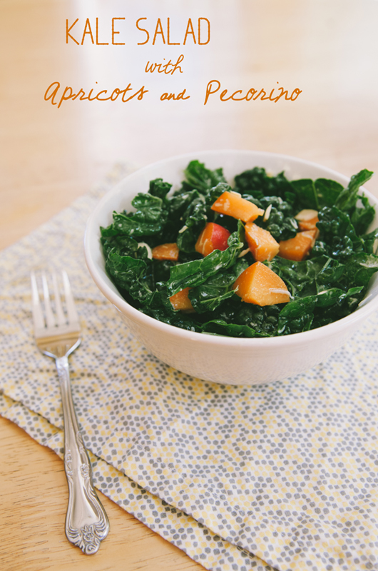 Kale Salad With Apricots & Pecorino | So...Let's Hang Out