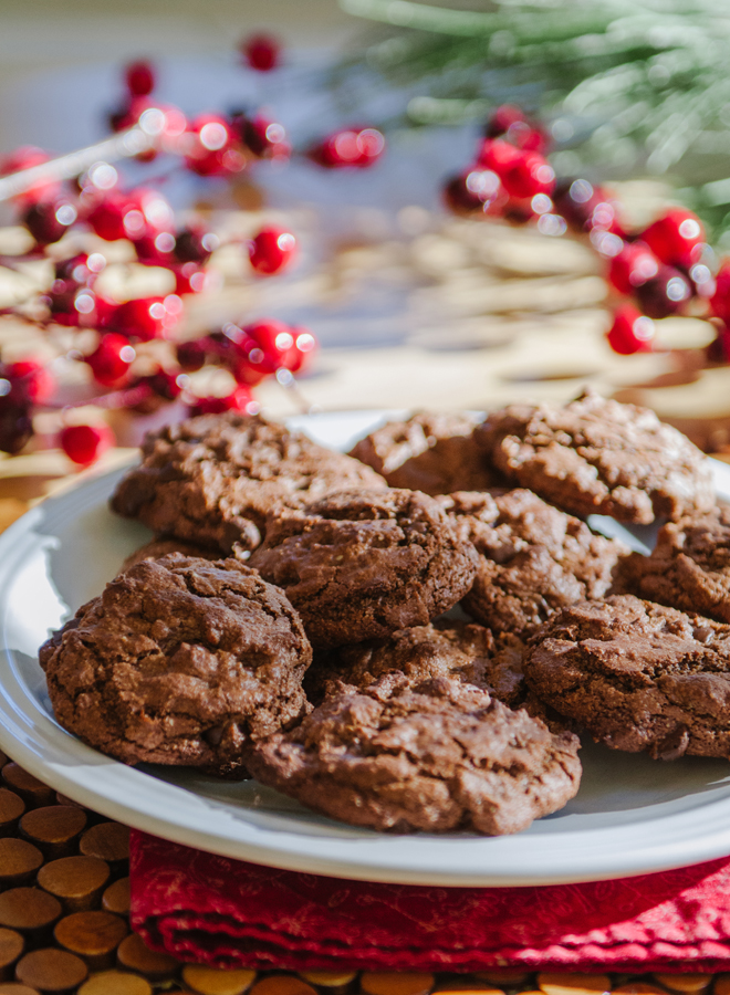 Grain-Free Double Chocolate & Peppermint Cookies// Soletshangout.com