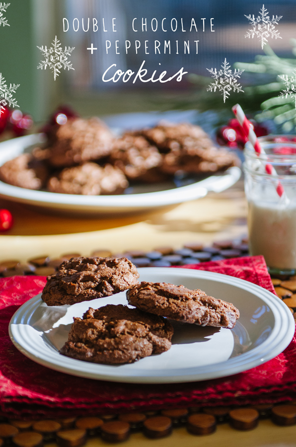 Grain-Free Double Chocolate & Peppermint Cookies// Soletshangout.com