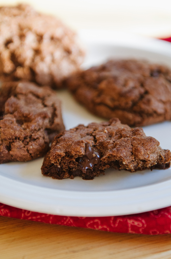 Grain-Free Double Chocolate & Peppermint Cookies// Soletshangout.com