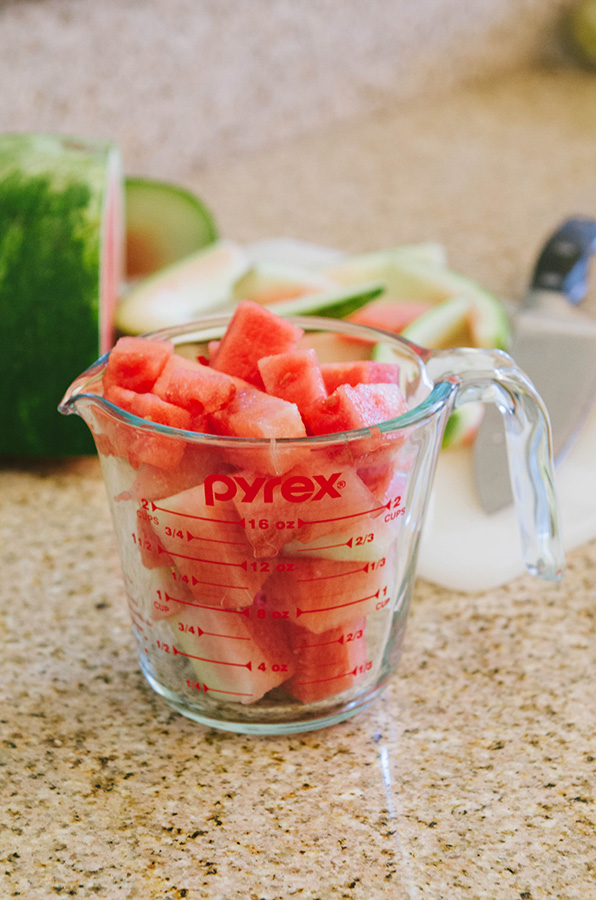 Three Ingredient Watermelon + Mint Slushie | soletshangout.com  #paleo #primal #vegan #glutenfree #slushie #slushy #summer