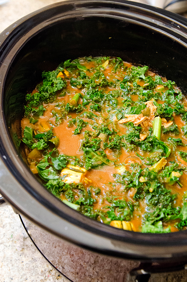 Crock Pot Tomato Coconut Chicken Curry