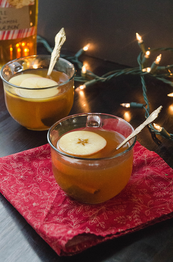Apple & Cinnamon Bourbon Hot Toddy // solethangout.com #hottoddy #apple #cinnamon #holiday #drinks #bourbon