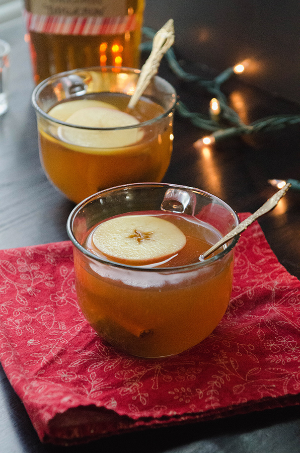 https://soletshangout.com/wp-content/uploads/2014/11/apple-cinnamon-hot-toddy-6583blog.jpg