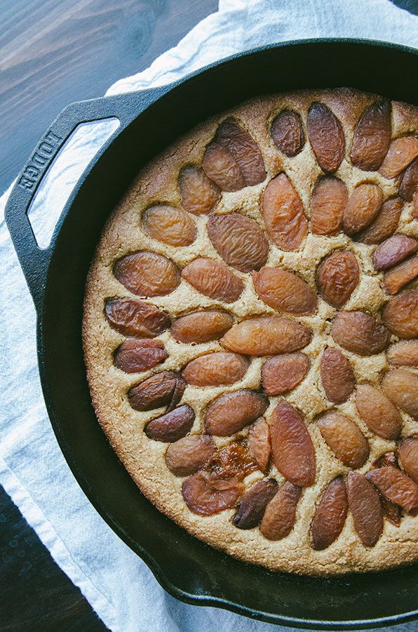 Grain-Free Lemon Apricot Yogurt Cake + How Social Media Makes Me Feel Like A Big Fat Failure// #grainfree #cake #apricot #lemon #paleo #primal #glutenfree 