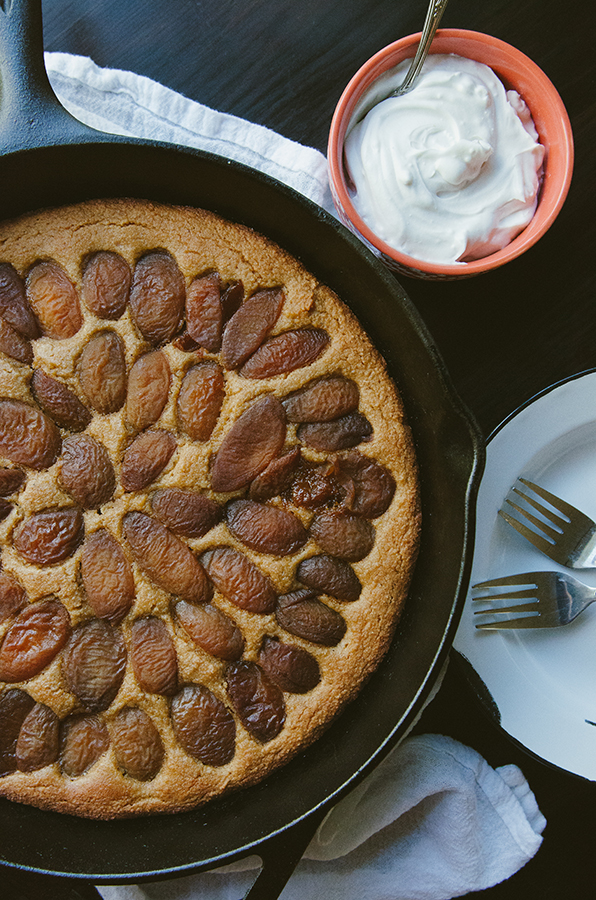 Grain-Free Lemon Apricot Yogurt Cake + How Social Media Makes Me Feel Like A Big Fat Failure// #grainfree #cake #apricot #lemon #paleo #primal #glutenfree 