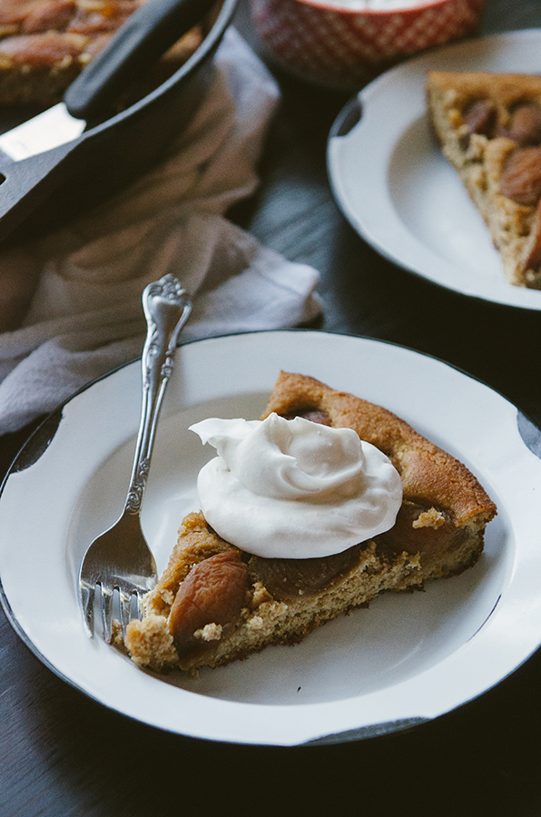 Grain-Free Lemon Apricot Yogurt Cake + How Social Media Makes Me Feel Like A Big Fat Failure// #grainfree #cake #apricot #lemon #paleo #primal #glutenfree 